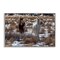 Stupell Industries Arches Horse Pair in Snow Framed Giclee, design by Jeff Poe Photography
